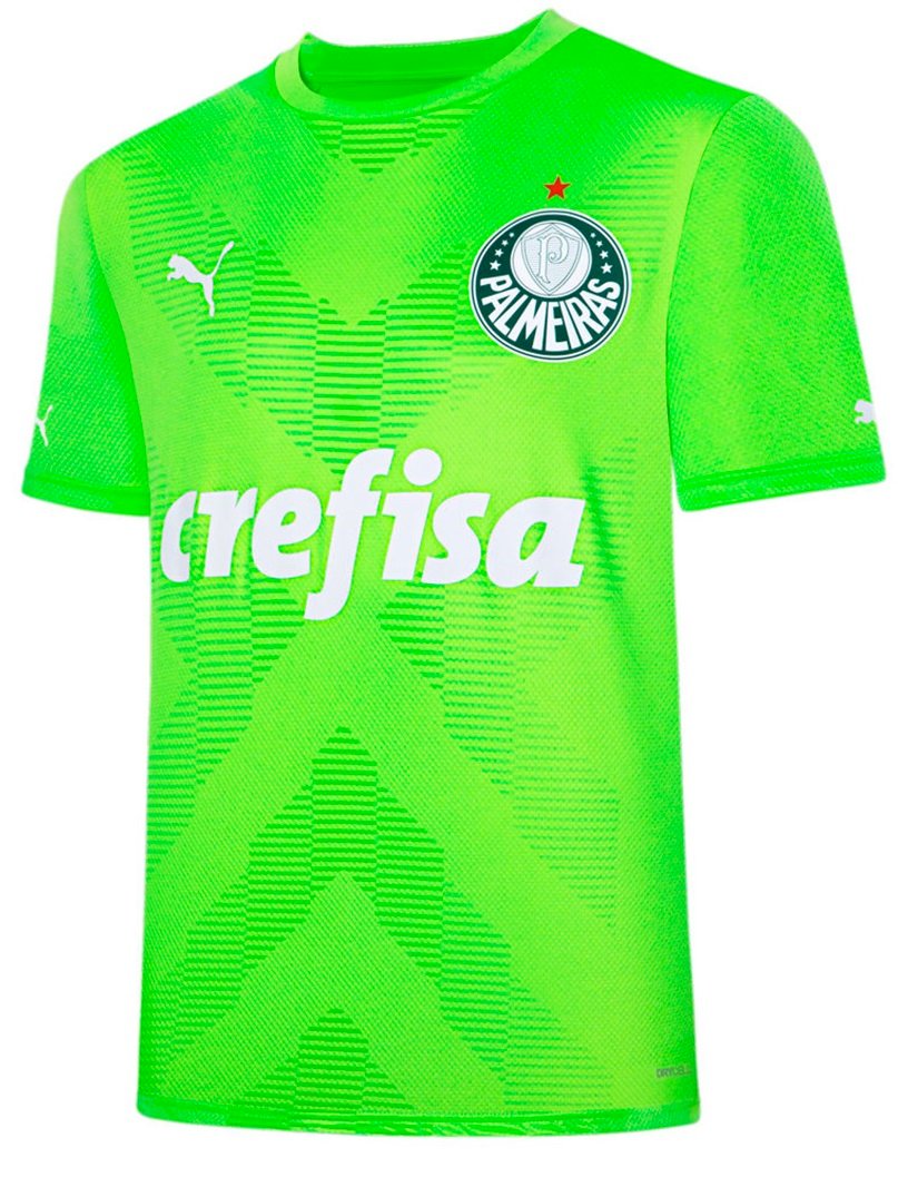 Camisa Goleiro II Palmeiras 2023 Puma oficial 